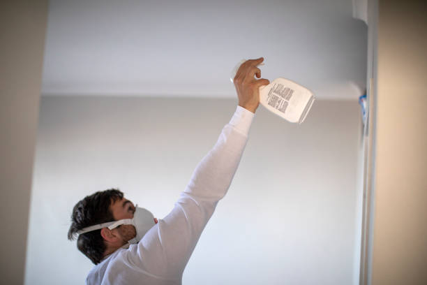 Best Professional Mold Removal  in Powell, WY